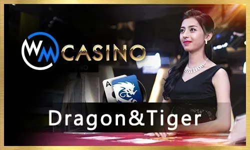 PHSpin VIP Sports Betting